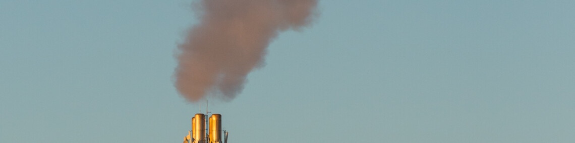 Nyeste forskning sætter streg under luftforureningens skadevirkninger